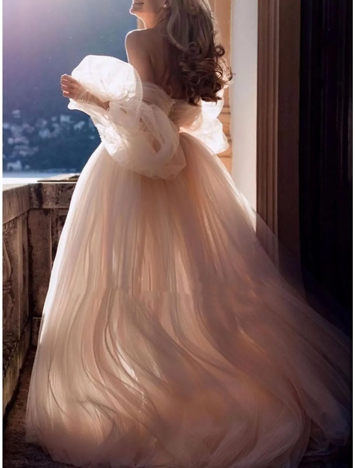 A-Line Evening Gown Elegant Dress Formal Sweep / Brush Train Long Sleeve Sweetheart Tulle with Pleats Ruched