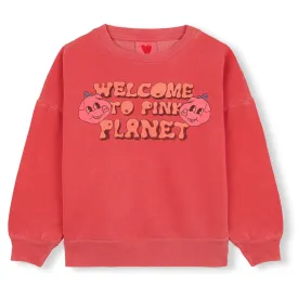 Pink Planet Adult Sweatshirt